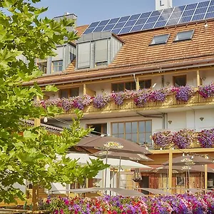 Hotell Am Kamin